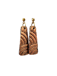 Bronze Earrings