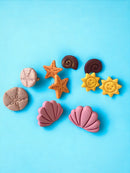 Sea Shell Studs -Purple