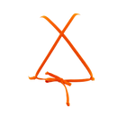 Electric Snake/Orange Lily Top