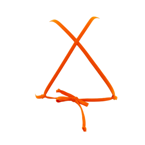 Electric Snake/Orange Lily Top