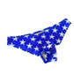 Stars Emmy Bottom