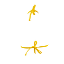 Starburst/Daisy Mia Top