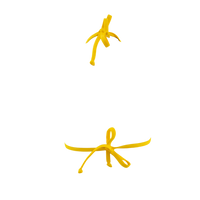 Starburst/Daisy Mia Top