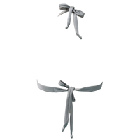 Outlaw/Silver Thalia Top