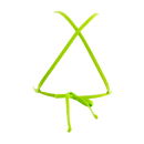Tropical /Lime Lily Top