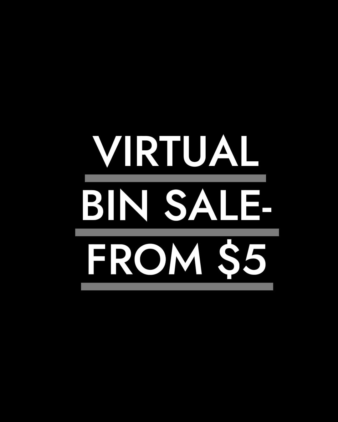 virtual_bin_feb_26_1.png